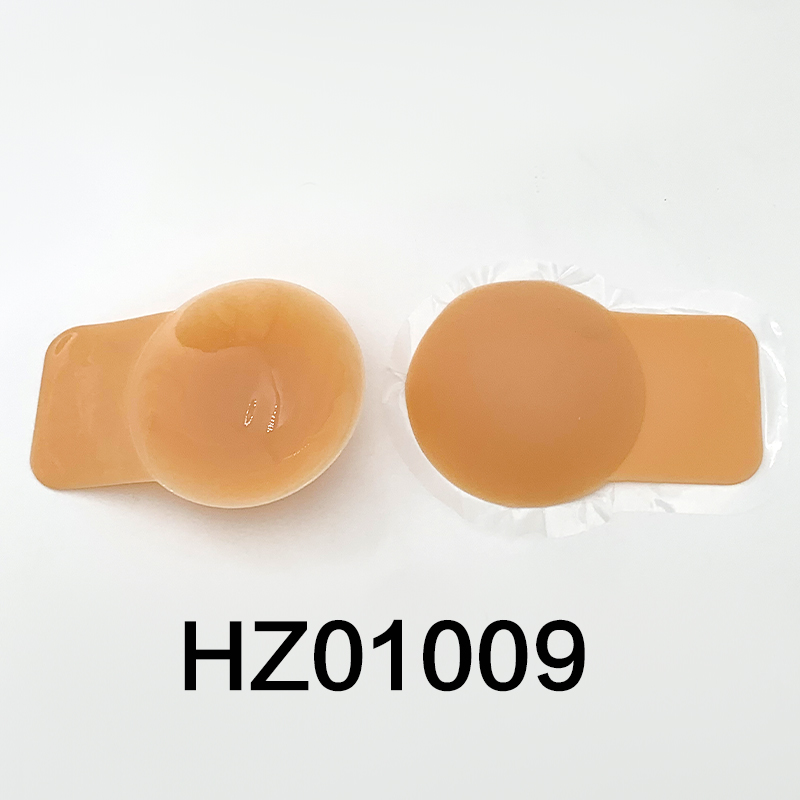 HZ01009