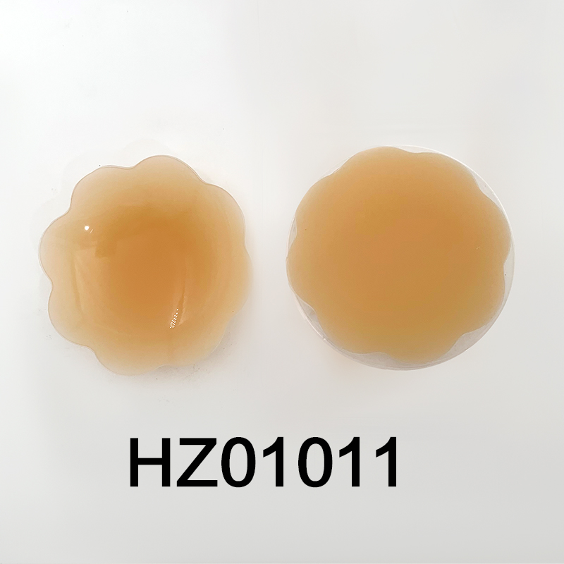 HZ01011